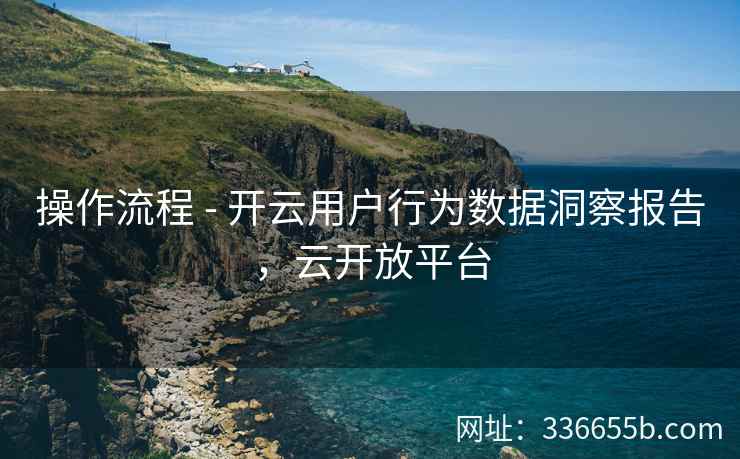 操作流程 - 开云用户行为数据洞察报告，云开放平台